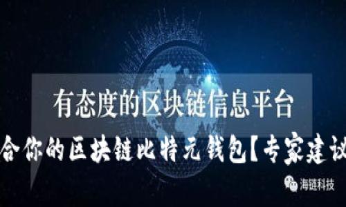 如何选择适合你的区块链比特元钱包?专家建议与实用指南
