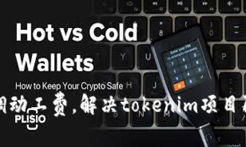 如何有效调动工费,解决tokenim项目阿姨的问题