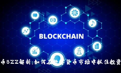 虚拟币BZZ解析:如何在数字货币市场中抓住投资机会