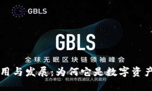 区块链钱包的作用与发展:为何它是数字资产管理的必备工具