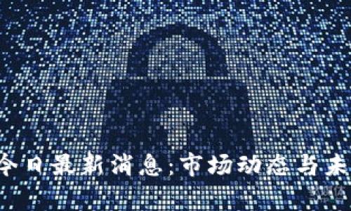FIL虚拟币今日最新消息:市场动态与未来趋势分析