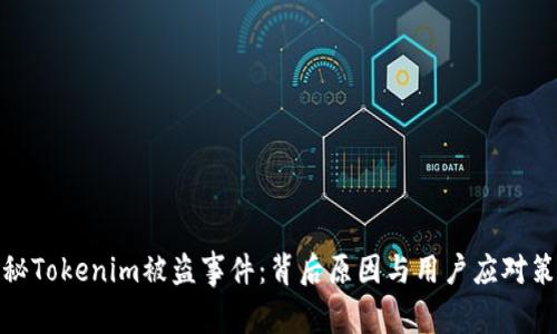 揭秘Tokenim被盗事件:背后原因与用户应对策略