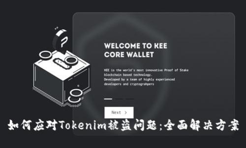 如何应对Tokenim被盗问题:全面解决方案