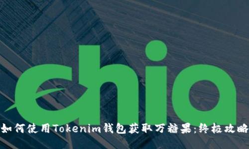 如何使用Tokenim钱包获取万糖果：终极攻略