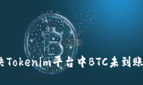 如何解决Tokenim平台中BTC未到账的问题?