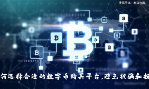 如何选择合适的数字币购买平台,避免被骗和损失