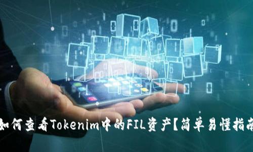 如何查看Tokenim中的FIL资产?简单易懂指南
