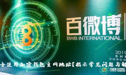 如何安全使用加密钱包主网地址?揭示常见问题与解决方案