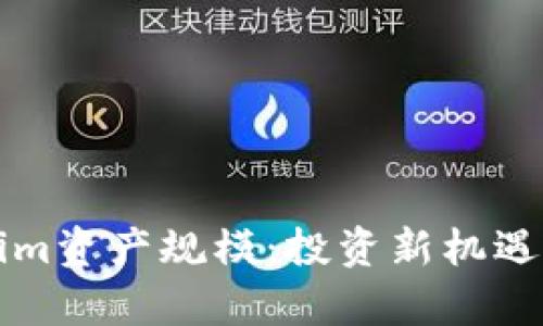 揭秘tokenim资产规模:投资新机遇与风险分析