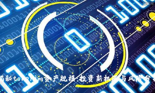 揭秘tokenim资产规模:投资新机遇与风险分析