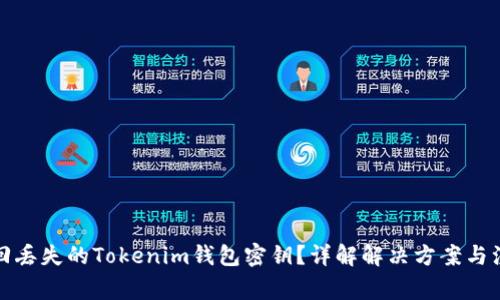 如何找回丢失的Tokenim钱包密钥？详解解决方案与注意事项