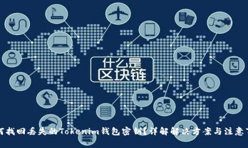 如何找回丢失的Tokenim钱包密钥？详解解决方案与注意事项