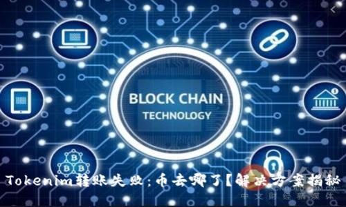 Tokenim转账失败：币去哪了？解决方案揭秘