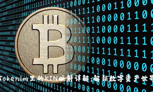 ### Tokenim里的KIN映射详解:解锁数字资产世界的钥匙