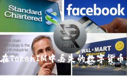 如何找回在TokenIM中丢失的数字货币:实用指南