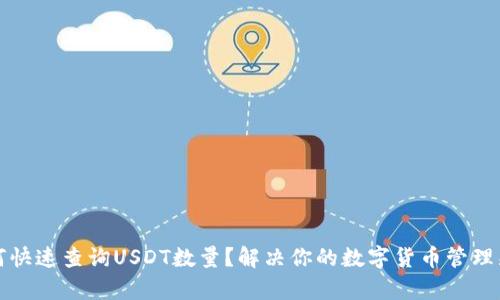 如何快速查询USDT数量?解决你的数字货币管理痛点