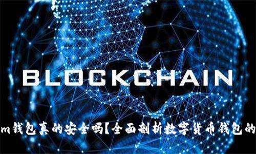 Tokenim钱包真的安全吗？全面剖析数字货币钱包的安全性