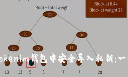 如何在Tokenim钱包中安全导入私钥：一步步指南