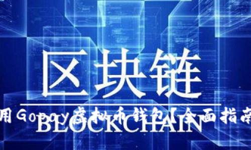 如何安全使用Gopay虚拟币钱包?全面指南与实用技巧