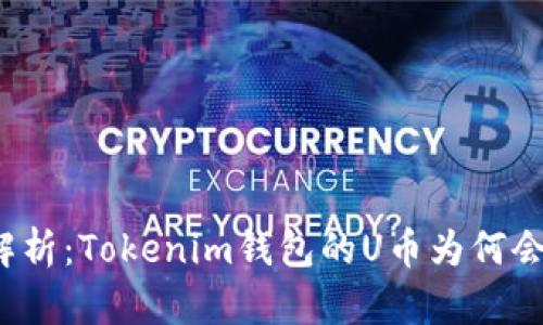 深入解析:Tokenim钱包的U币为何会被盗?