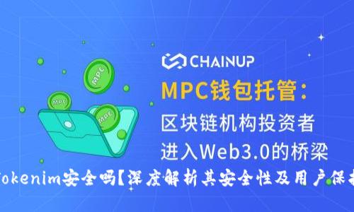 软件Tokenim安全吗?深度解析其安全性及用户保护机制