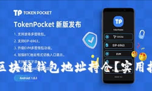 如何轻松查询区块链钱包地址持仓？实用技巧与工具推荐