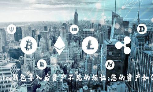 解决Tokenim钱包导入后资产不见的烦恼：您的资产如何安全无忧