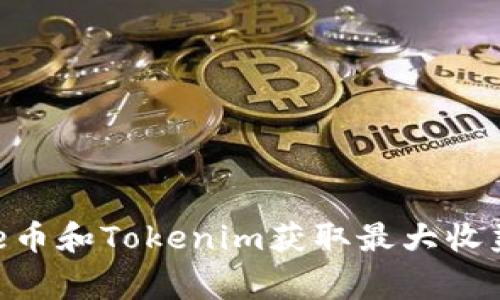 如何利用Doge币和Tokenim获取最大收益：投资者必读