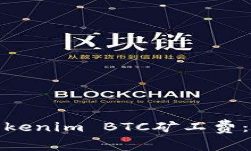 如何有效降低Tokenim BTC矿工费：实用技巧与策略