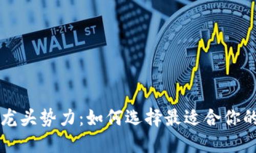 区块链数字钱包的龙头势力：如何选择最适合你的数字资产管理工具