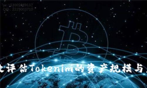 如何有效评估Tokenim的资产规模与未来潜力