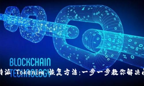 比特派 Tokenim 恢复方法：一步一步教你解决问题