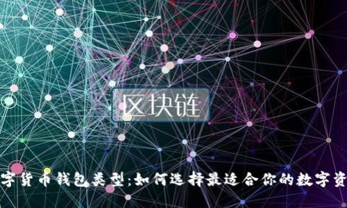 全面了解数字货币钱包类型：如何选择最适合你的数字资产管理工具