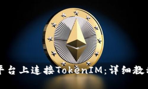 如何在欧易平台上连接TokenIM：详细教程与操作指南