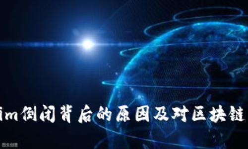 分析Tokenim倒闭背后的原因及对区块链行业的影响