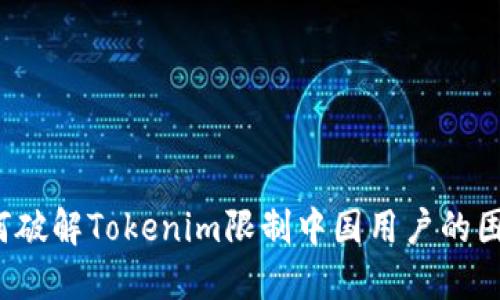 如何破解Tokenim限制中国用户的困境？