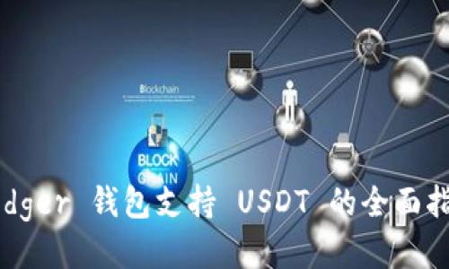 Ledger 钱包支持 USDT 的全面指南