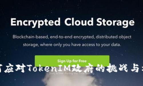 如何应对TokenIM政府的挑战与机遇