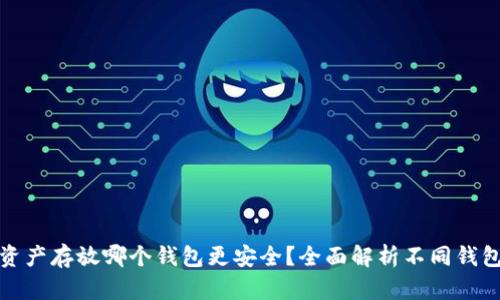 数字资产存放哪个钱包更安全？全面解析不同钱包选项