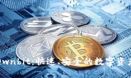 轻松下载Ownbit:快速、安全的数字资产管理方案