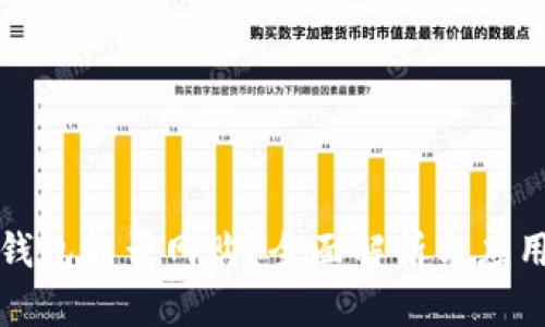 数字钱包能否网购？全面解析与应用指南
