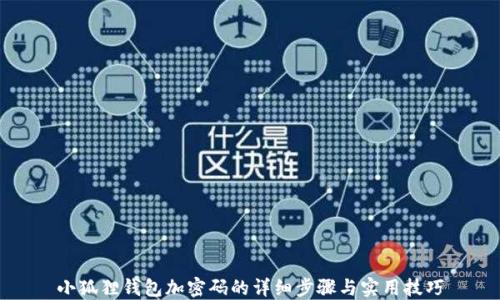 小狐狸钱包加密码的详细步骤与实用技巧
