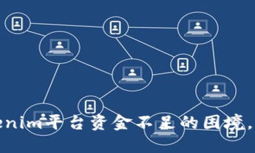 如何应对Tokenim平台资金不足的困境,助你挽回损失