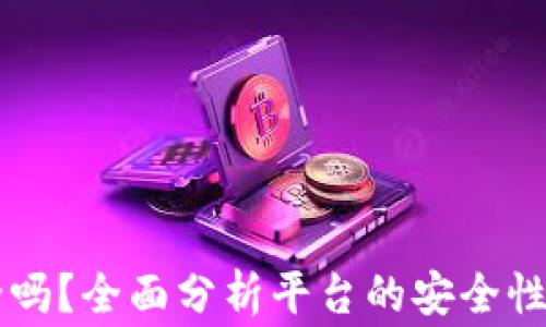 易币付平台安全吗?全面分析平台的安全性与使用注意事项