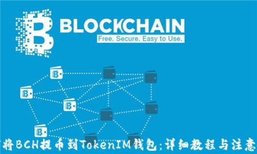 如何将BCH提币到TokenIM钱包:详细教程与注意事项