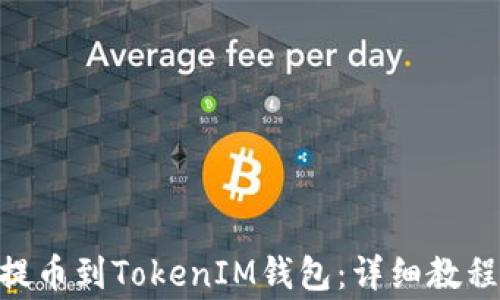 如何将BCH提币到TokenIM钱包:详细教程与注意事项