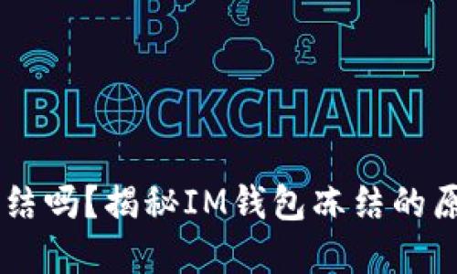 IM钱包会被冻结吗？揭秘IM钱包冻结的原因与解决办法