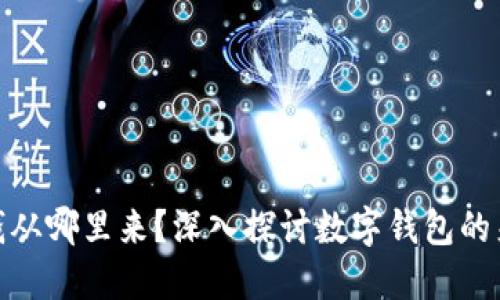 数字钱包里的钱从哪里来?深入探讨数字钱包的来源与运作机制