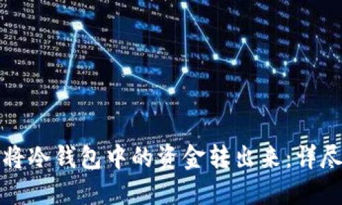 如何将冷钱包中的资金转出来:详尽指南