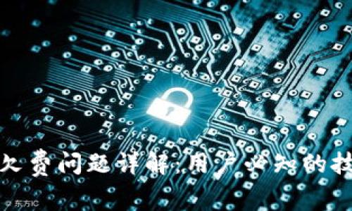 数字货币钱包欠费问题详解:用户必知的技巧与注意事项